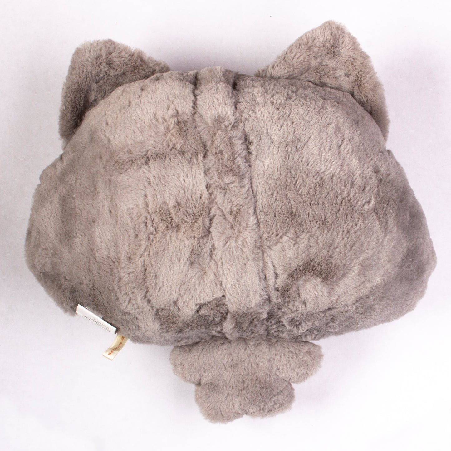 5489 - Cat with Blanket