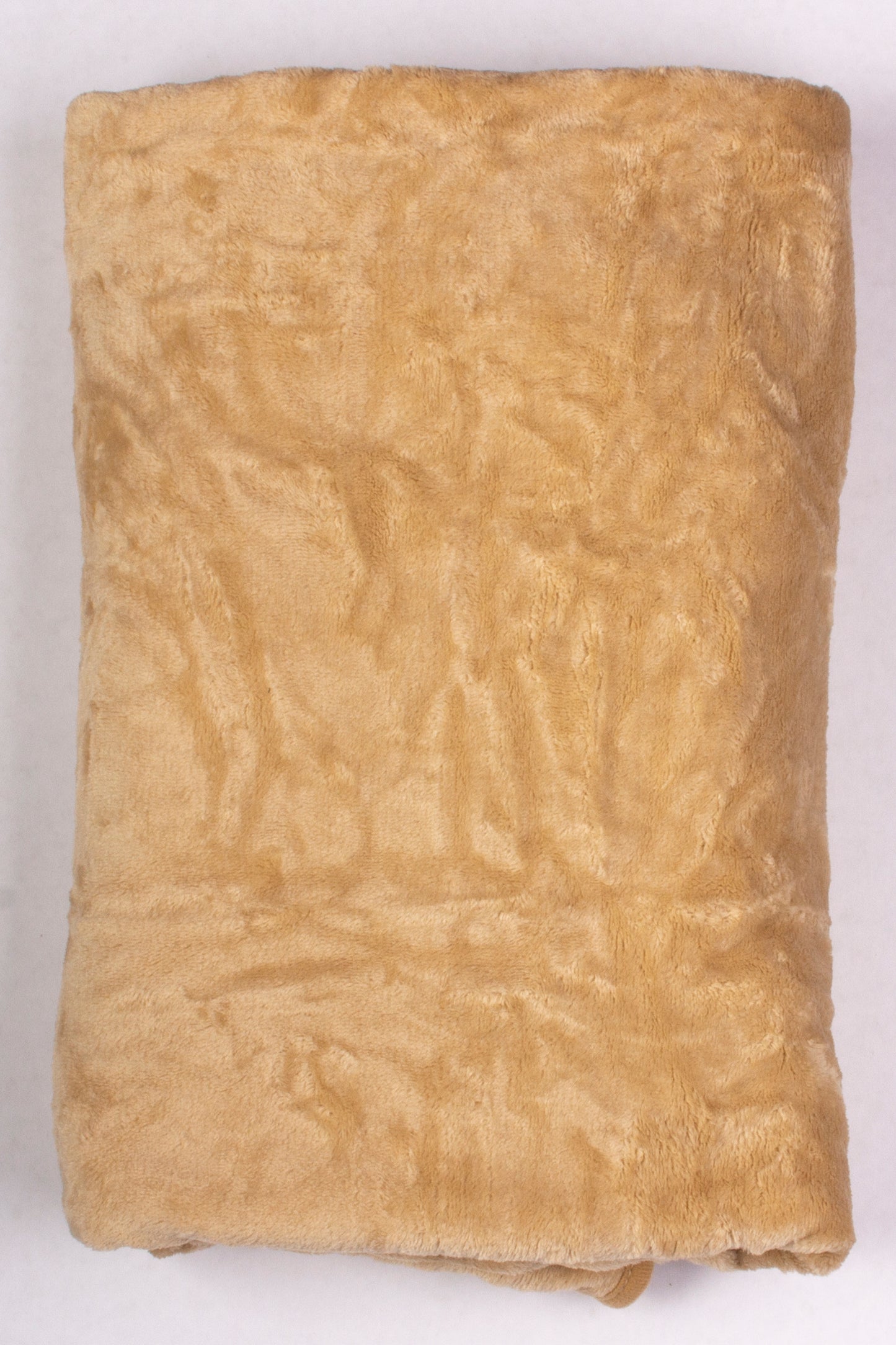 5489 - Cat with Blanket